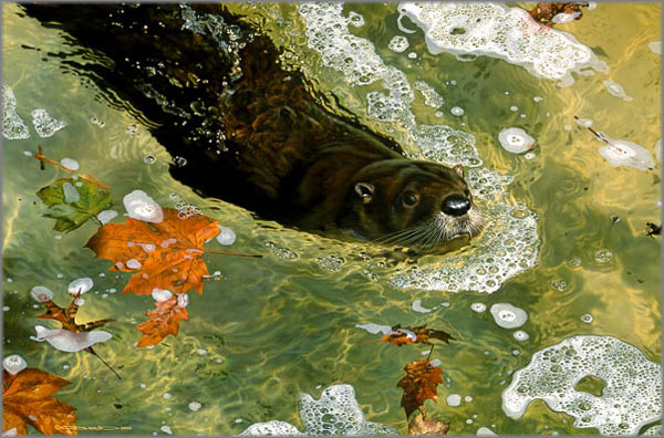 (image for) Handmade Oil painting for home canvas, oil painting framed canvas for living room Carl Brenders Paintings On A Mission-Otter - Click Image to Close